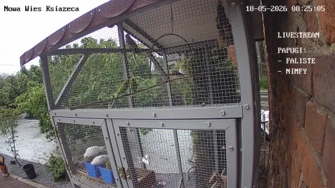 Zdjecie papug 18.05.2026 08:25