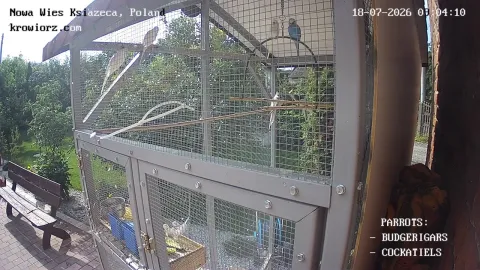 Zdjecie papug 18.07.2026 09:04